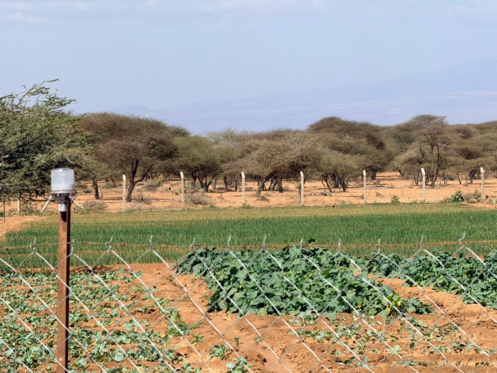 Fresh water project in a Maasai community in Tanzania