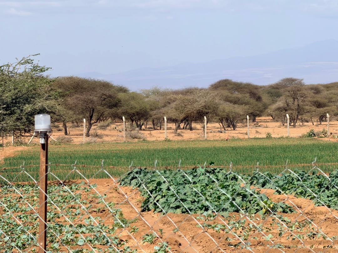 Fresh water project in a Maasai community in Tanzania